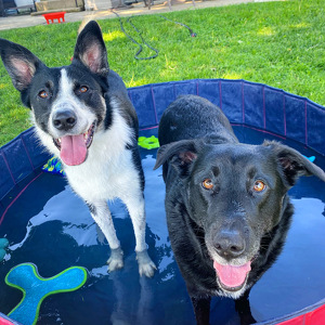 Fundraising Page: Samantha Dannaway